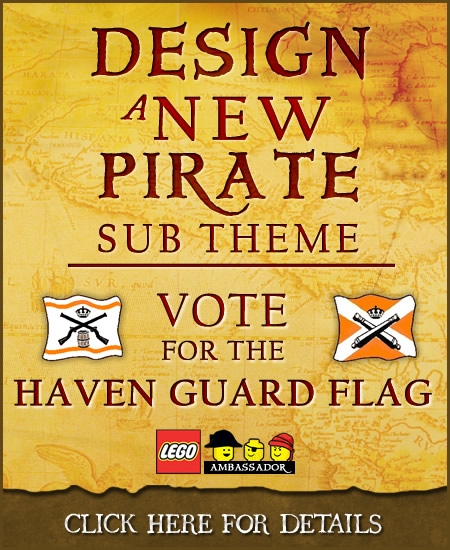 Featured Image for Vote for the Haven Guard Flag