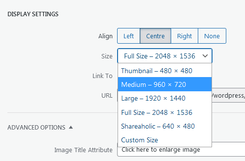 Screenshot WordPress - Post - Image Details - Display Settings - Size