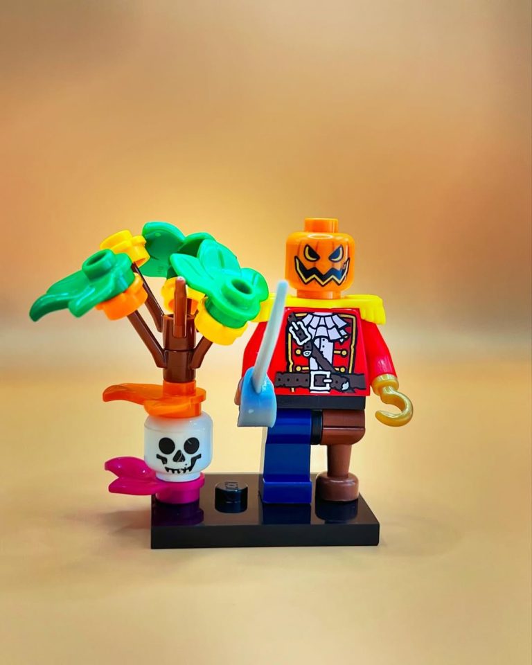 Pirate Pumpkin Head by mocs_in_socks