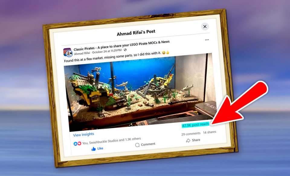 Successful Facebook post of 6285 Black Seas Barracuda in an aquarium