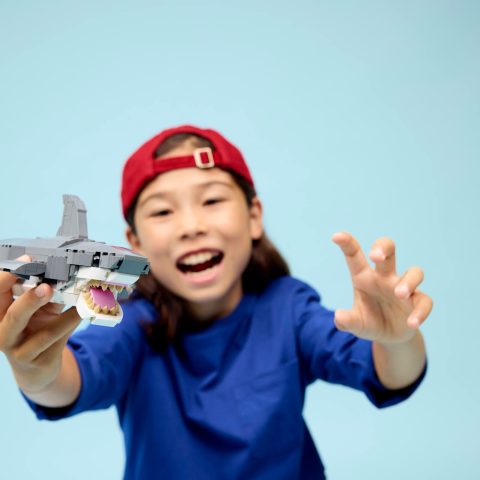 Child playing with shark build from 31381 Fierce Shark with a Treasure Chest