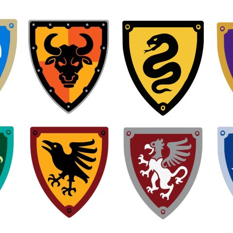 LEGO Castle Factions introduced during 2025