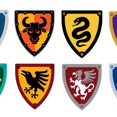 LEGO Castle Factions introduced during 2025